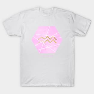 Aquarius zodiac sign T-Shirt